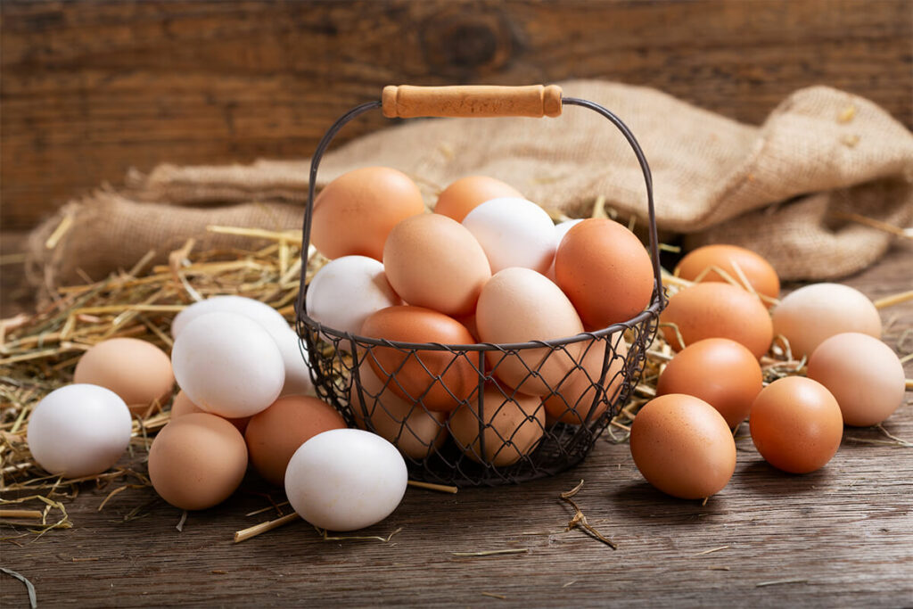 Diversificar investimentos: as 5 vantagens dos fundos de investimento